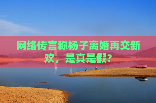 网络传言称杨子离婚再交新欢，是真是假？