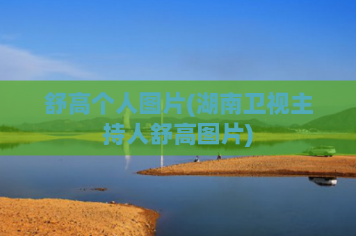 舒高个人图片(湖南卫视主持人舒高图片)