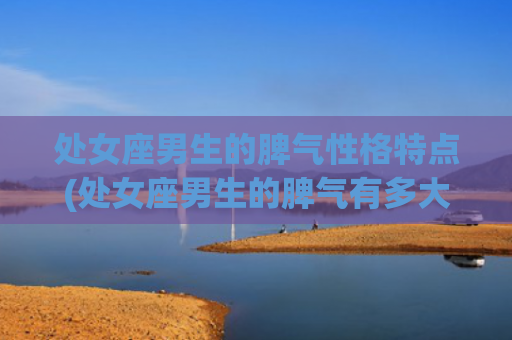 处女座男生的脾气性格特点(处女座男生的脾气有多大)