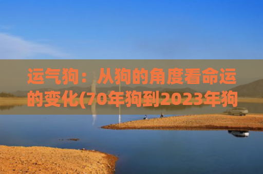 运气狗：从狗的角度看命运的变化(70年狗到2023年狗运气怎么样)