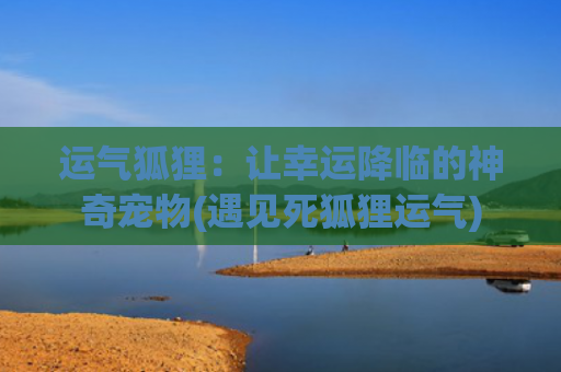 运气狐狸：让幸运降临的神奇宠物(遇见死狐狸运气)