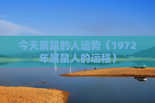 今天属鼠的人运势（1972年属鼠人的运程）