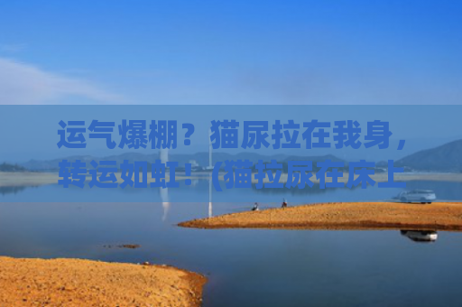 运气爆棚？猫尿拉在我身，转运如虹！(猫拉尿在床上影响运气吗)