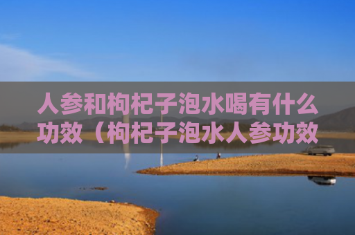 人参和枸杞子泡水喝有什么功效（枸杞子泡水人参功效）