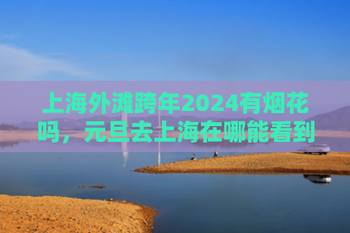 上海外滩跨年2024有烟花吗，元旦去上海在哪能看到烟花（上海外滩烟花上海）
