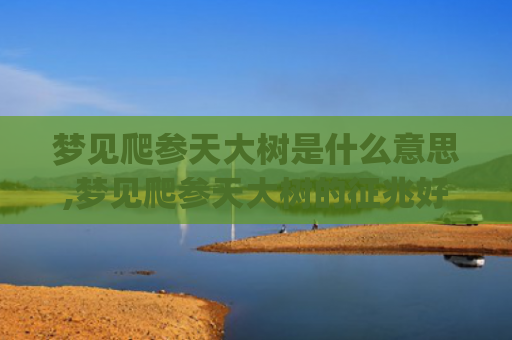 梦见爬参天大树是什么意思,梦见爬参天大树的征兆好不好(梦见参天大树直冲云霄)