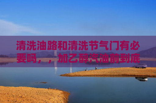 清洗油路和清洗节气门有必要吗，，加乙醇汽油前到底用不用清洗油路（要吗油路清洗）