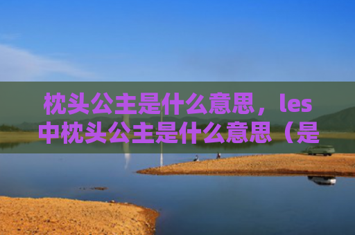 枕头公主是什么意思，les中枕头公主是什么意思（是什么意思枕头公主）