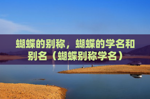 蝴蝶的别称，蝴蝶的学名和别名（蝴蝶别称学名）