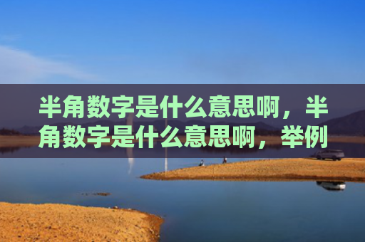 半角数字是什么意思啊，半角数字是什么意思啊，举例子（数字举例子半角）
