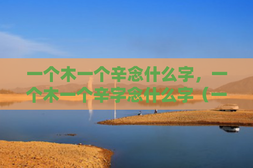 一个木一个辛念什么字，一个木一个辛字念什么字（一个木一个辛）