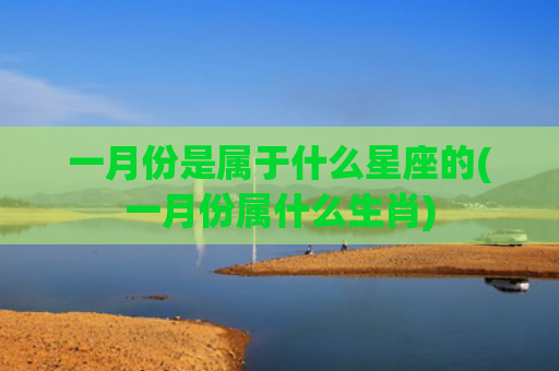 一月份是属于什么星座的(一月份属什么生肖)