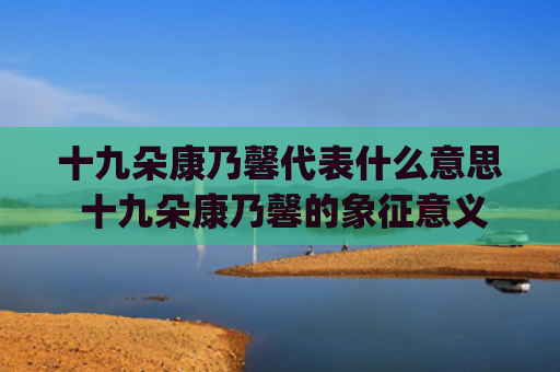 十九朵康乃馨代表什么意思 十九朵康乃馨的象征意义(十九朵康乃馨花束图片)