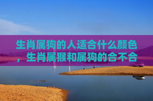 生肖属狗的人适合什么颜色，生肖属猴和属狗的合不合？从运势、感情、亲情和友情四方面看