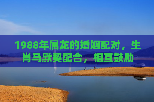 1988年属龙的婚姻配对，生肖马默契配合，相互鼓励