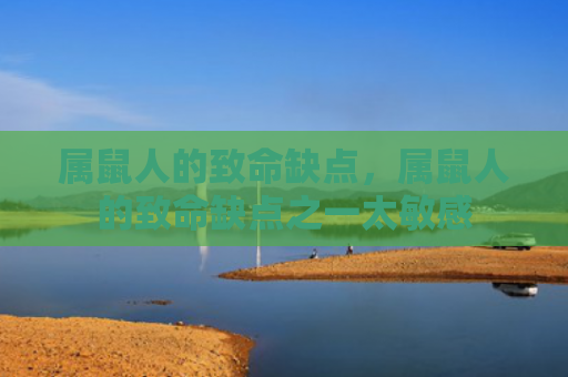属鼠人的致命缺点，属鼠人的致命缺点之一太敏感