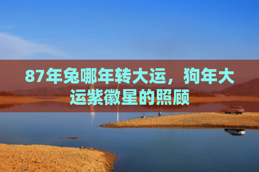 87年兔哪年转大运，狗年大运紫徽星的照顾