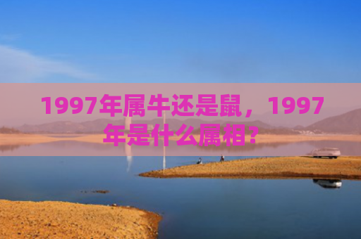 1997年属牛还是鼠，1997年是什么属相？