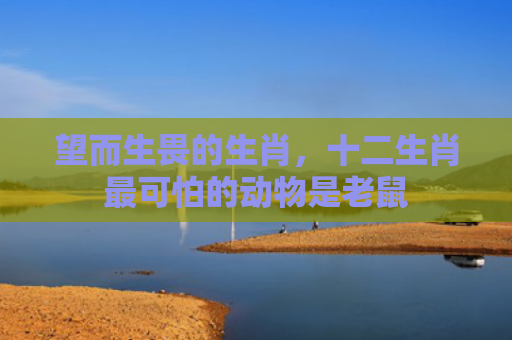 望而生畏的生肖，十二生肖最可怕的动物是老鼠