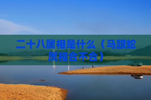 二十八属相是什么（马跟蛇属相合不合）