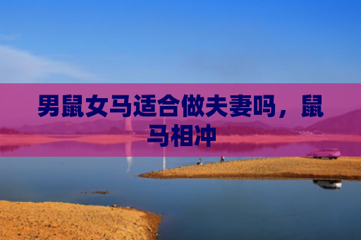 男鼠女马适合做夫妻吗，鼠马相冲