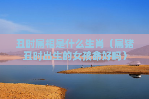 丑时属相是什么生肖（属猪丑时出生的女孩命好吗）