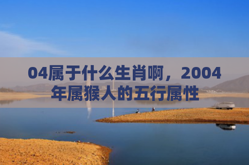 04属于什么生肖啊，2004年属猴人的五行属性