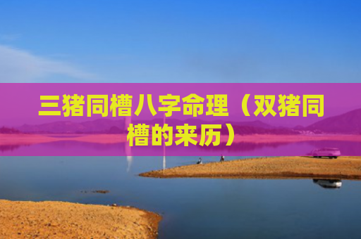 三猪同槽八字命理（双猪同槽的来历）