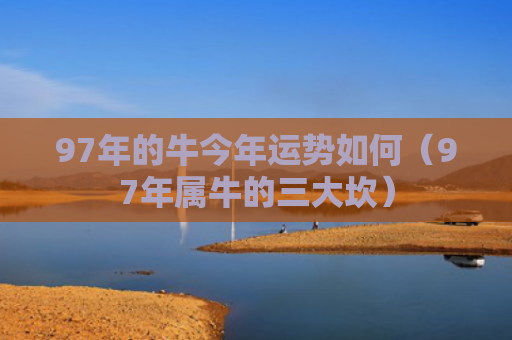 97年的牛今年运势如何（97年属牛的三大坎）