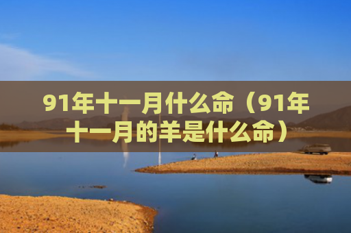 91年十一月什么命（91年十一月的羊是什么命）