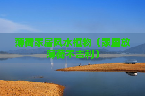 薄荷家居风水植物（家里放薄荷不吉利）
