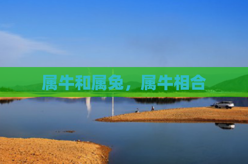 属牛和属兔，属牛相合