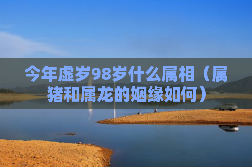 今年虚岁98岁什么属相（属猪和属龙的姻缘如何）