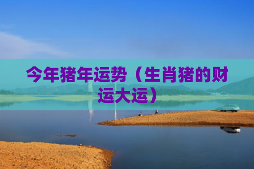 今年猪年运势（生肖猪的财运大运）