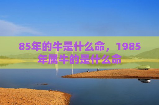 85年的牛是什么命，1985年属牛的是什么命
