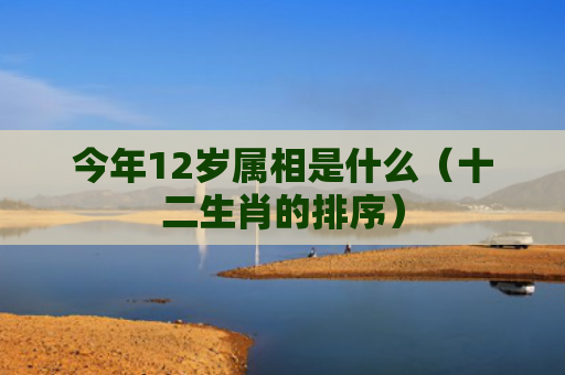 今年12岁属相是什么（十二生肖的排序）
