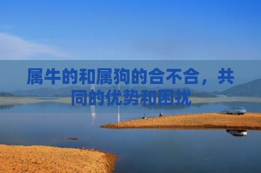 属牛的和属狗的合不合，共同的优势和困扰