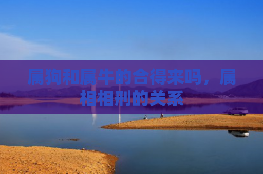 属狗和属牛的合得来吗，属相相刑的关系