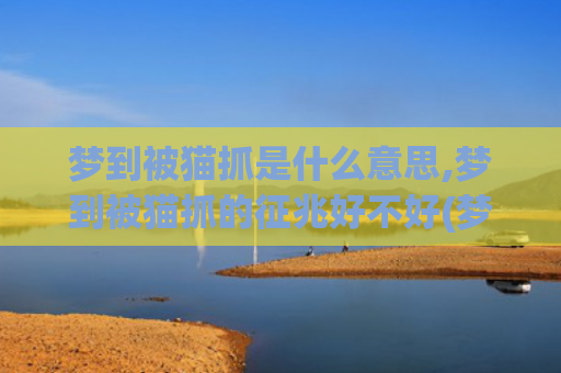 梦到被猫抓是什么意思,梦到被猫抓的征兆好不好(梦到被猫抓是什么征兆 女性解梦)