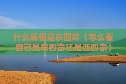 什么属相是东四命（怎么看自己是东四命还是西四命）