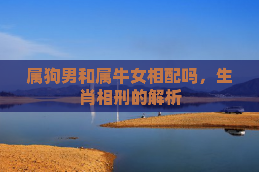 属狗男和属牛女相配吗，生肖相刑的解析