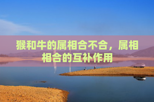 猴和牛的属相合不合，属相相合的互补作用