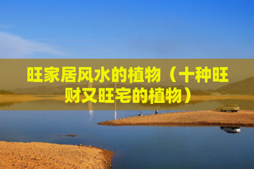 旺家居风水的植物（十种旺财又旺宅的植物）