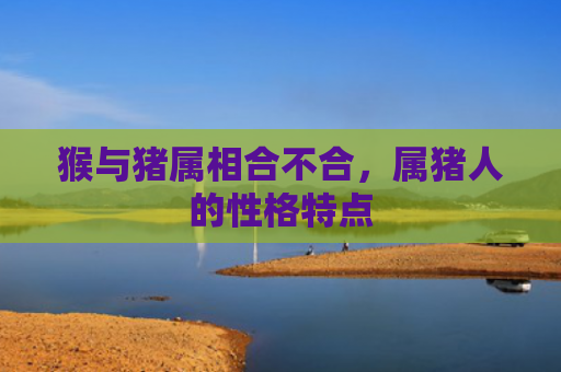 猴与猪属相合不合，属猪人的性格特点