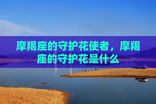 摩羯座的守护花使者，摩羯座的守护花是什么