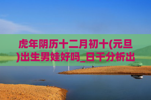 虎年阴历十二月初十(元旦)出生男娃好吗_日干分析出生阴历十二月初十