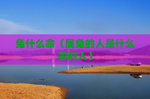 兔什么命（属兔的人是什么命的人）