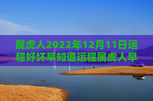 属虎人2022年12月11日运程好坏早知道运程属虎人早知道