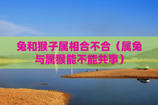 兔和猴子属相合不合（属兔与属猴能不能共事）