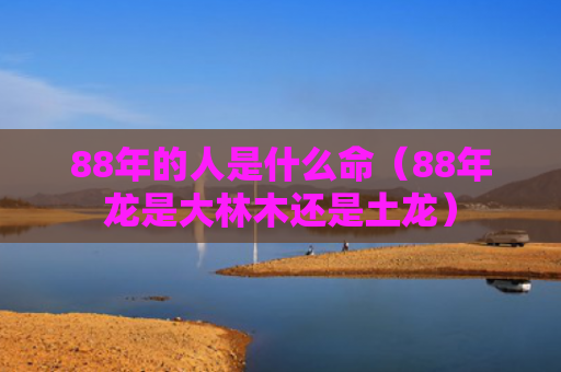 88年的人是什么命（88年龙是大林木还是土龙）